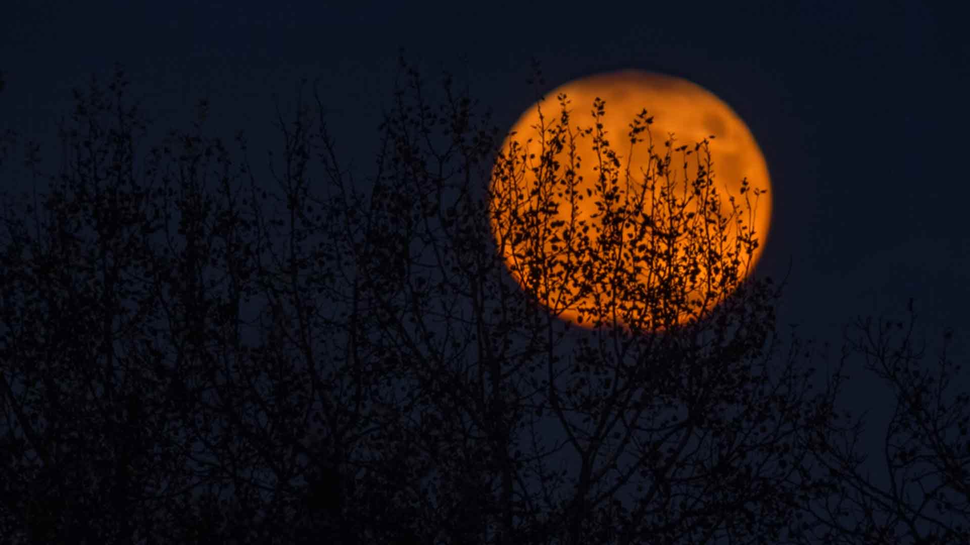 Picture of an orange moon against a dark skyline, used to depict the theme of the 2024 summer school 'Spooky Religion'
