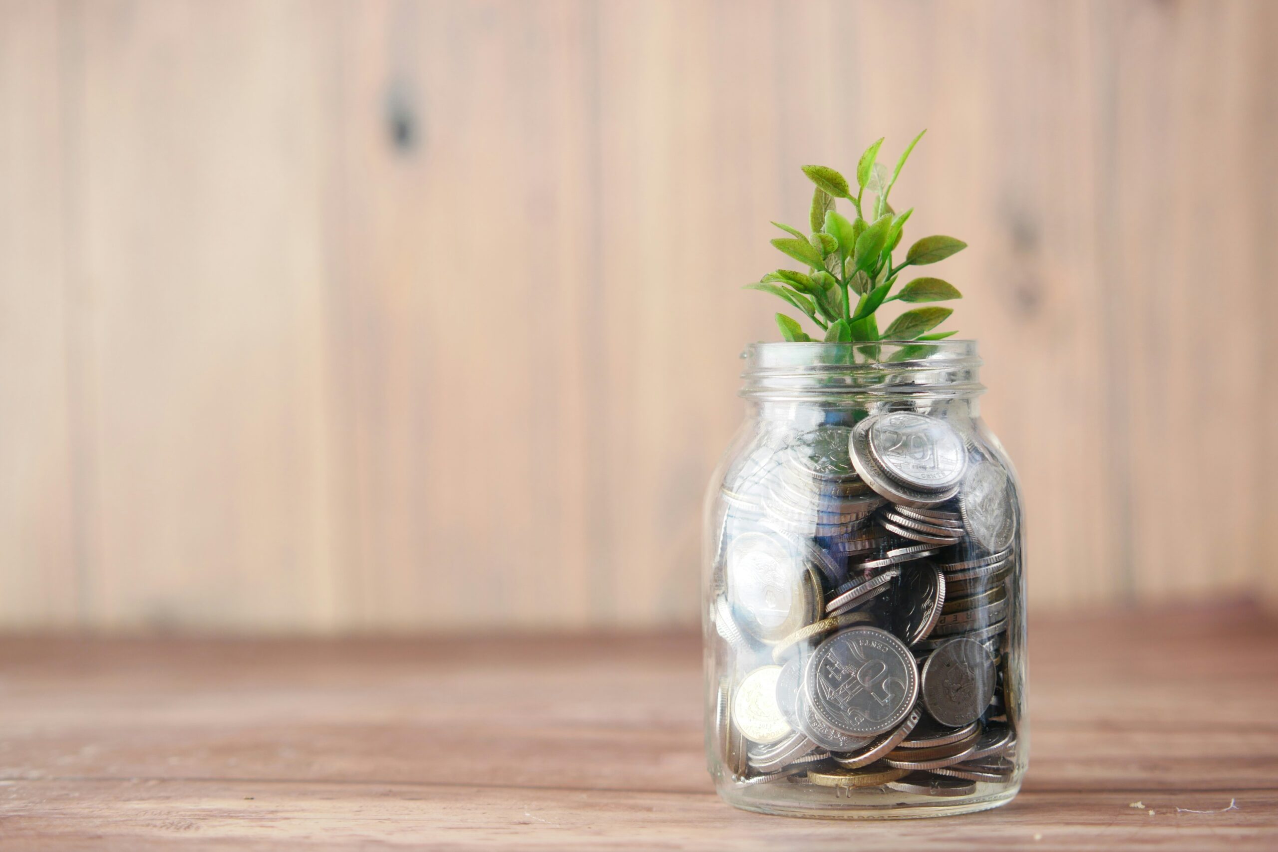 A photo of a jar filled with coins and a plant growing through it to represent funding