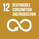 12. Responsible consumption and production