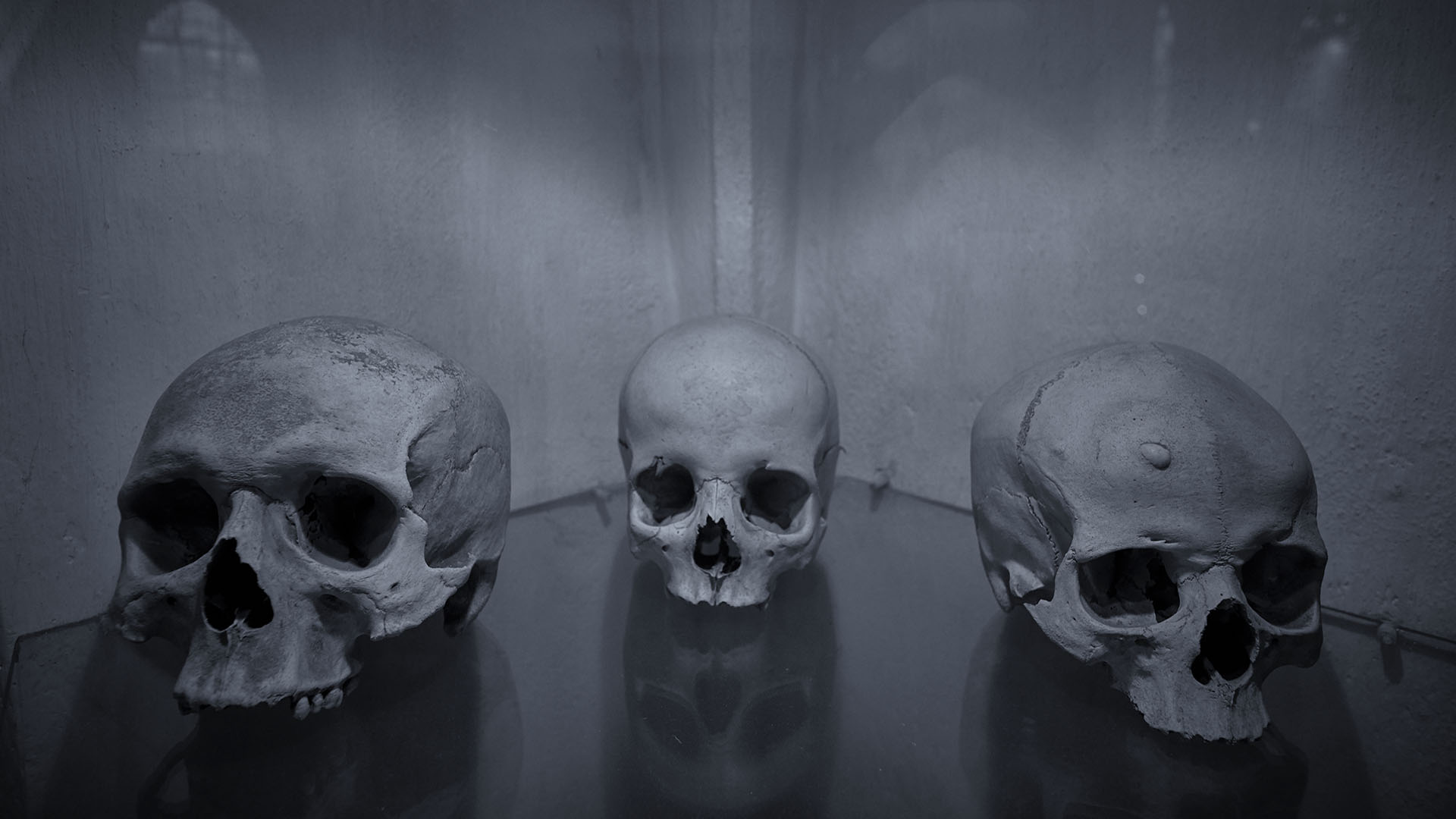 Three skulls in black and white.