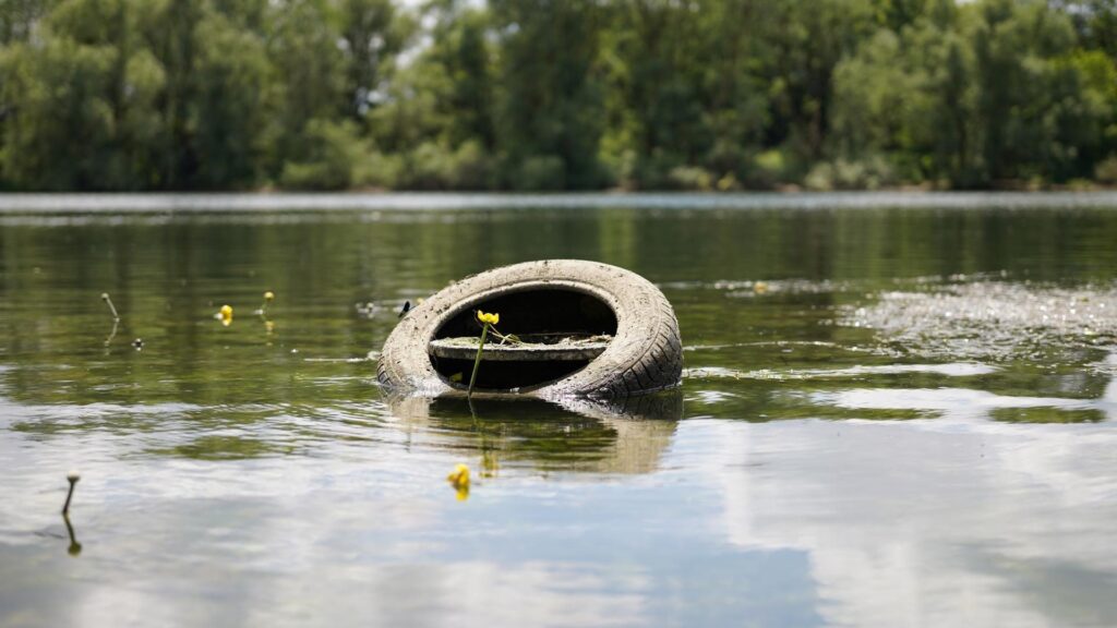 Tyre in a lake that is polluted.