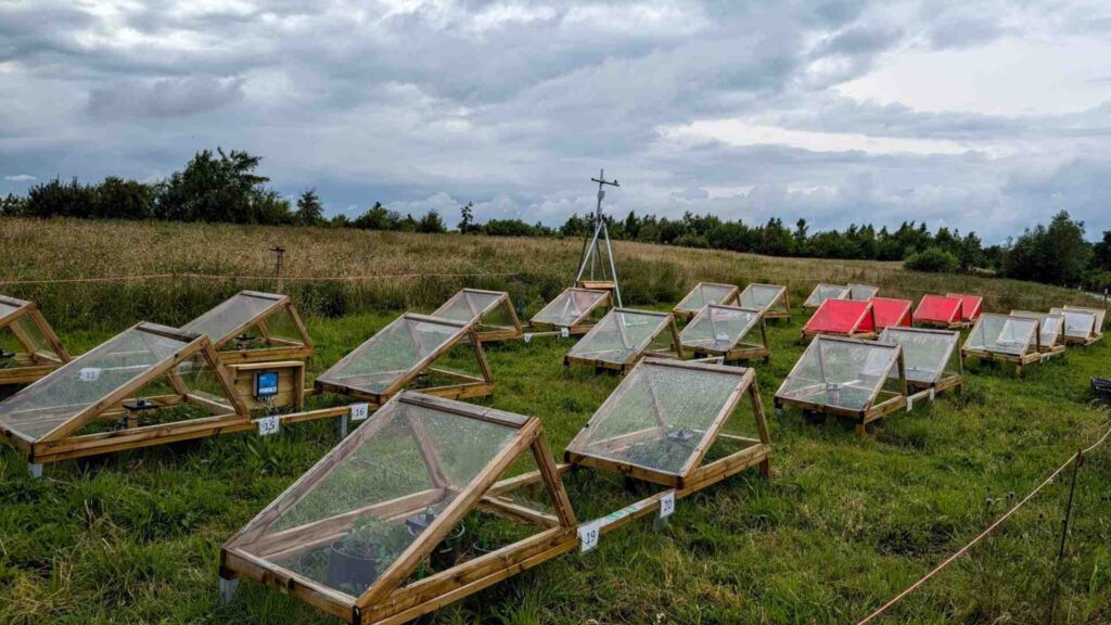 Greenhouses in a field 