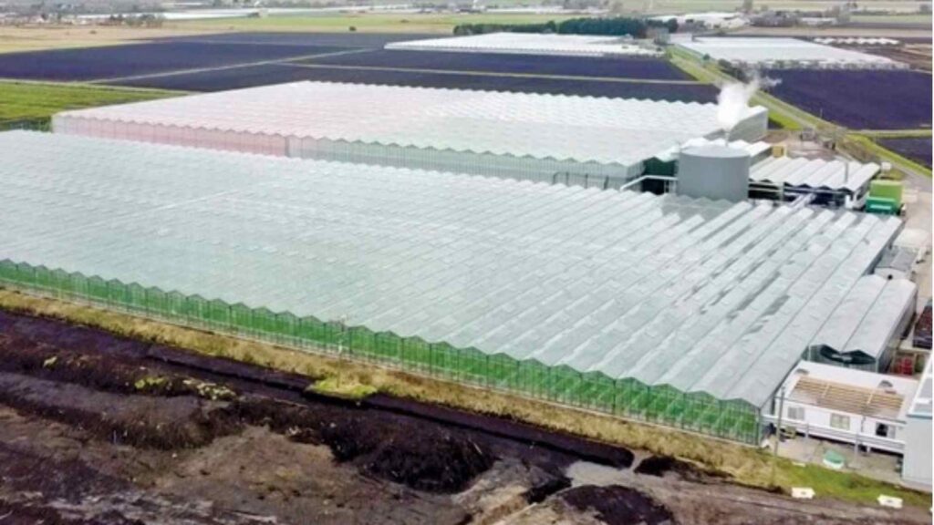 An aerial shot of greenhouses 