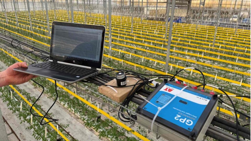 Computer monitoring in a greenhouse 
