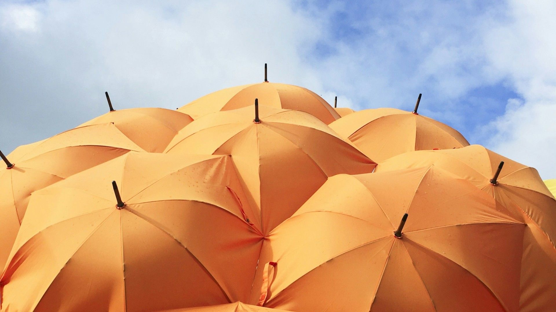A cluster of orange umbrellas against the sky.