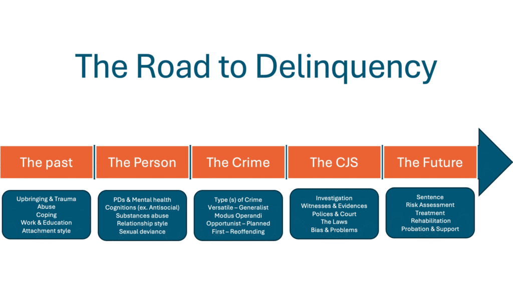 Road to Delinquency flow chart