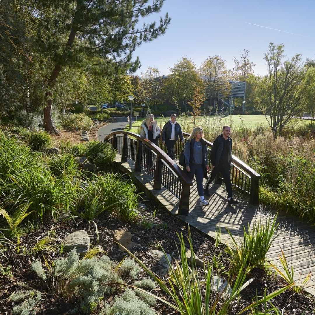The inside of a stacked greenhouse filled with green plants