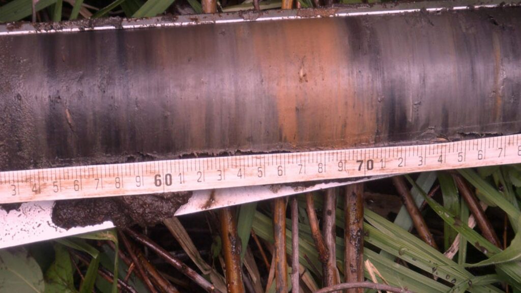 A tape measure recording the size of something in natural enviroment.