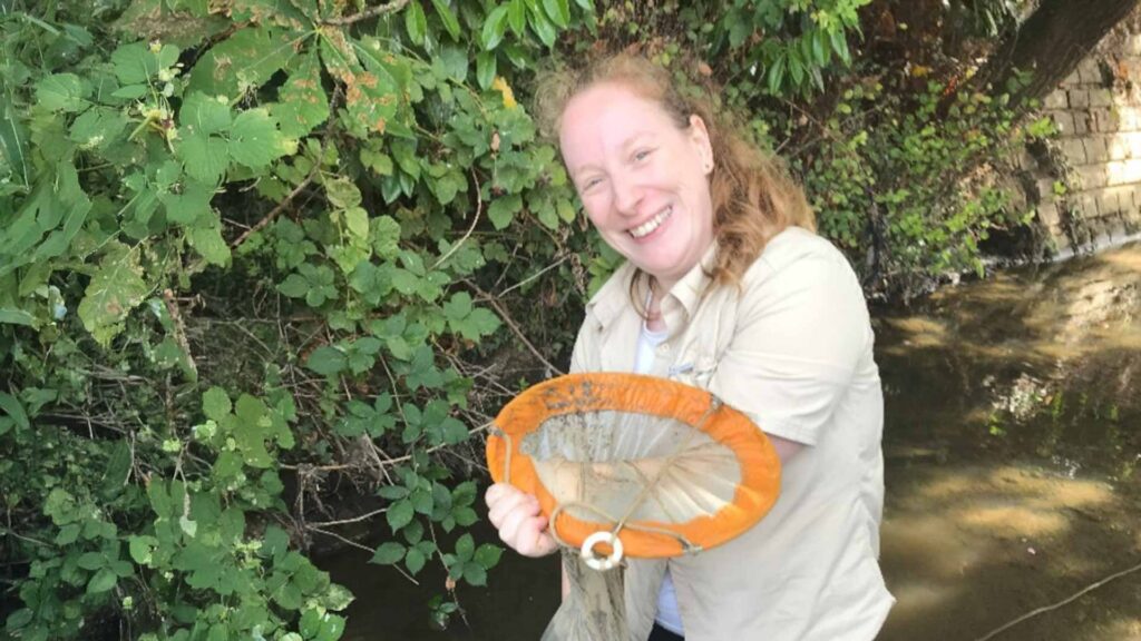 A person stood in a river with a large net.