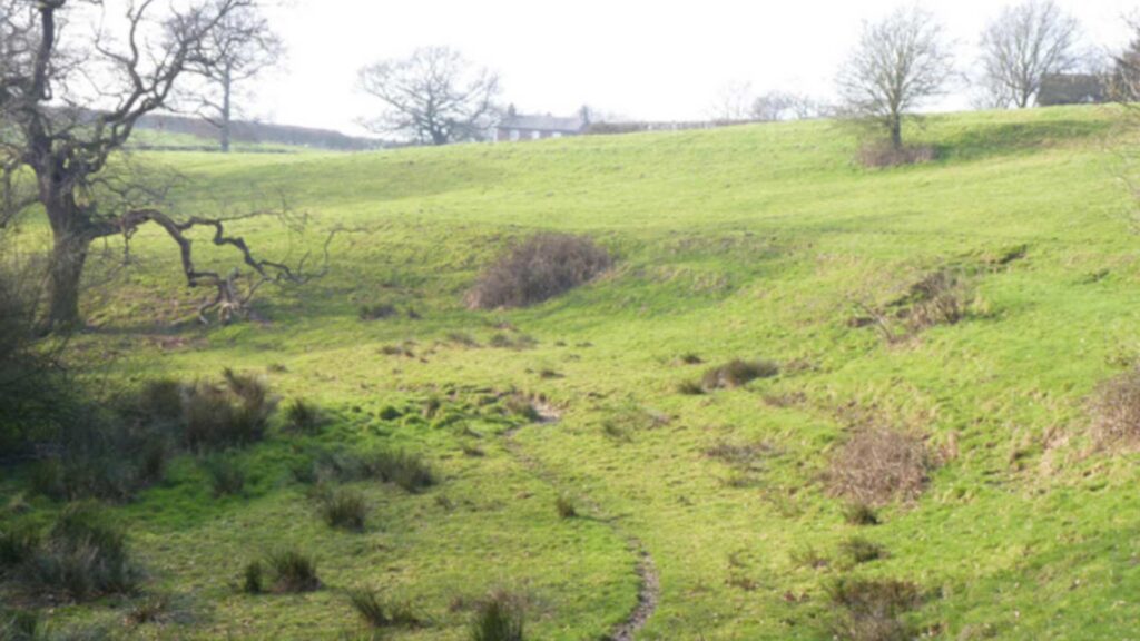 A green landscape with hills.