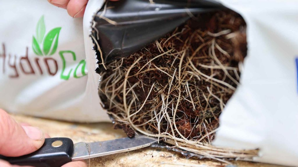 A grow bag and a person slitting it open with a knife.