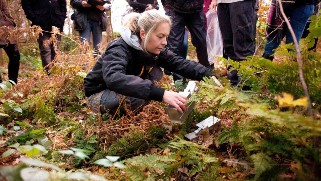 Research taking place in Ruff wood