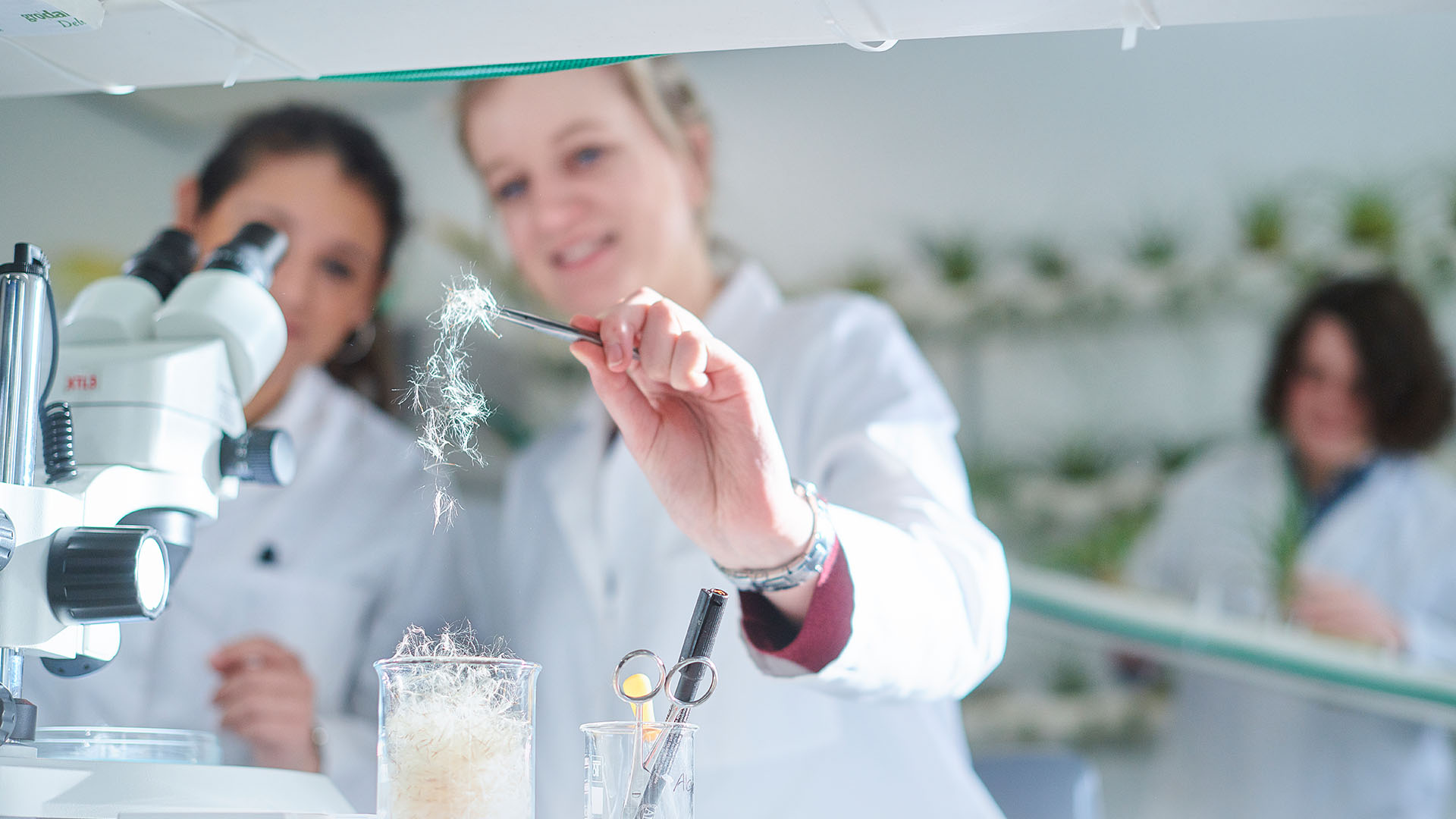 Science lab image