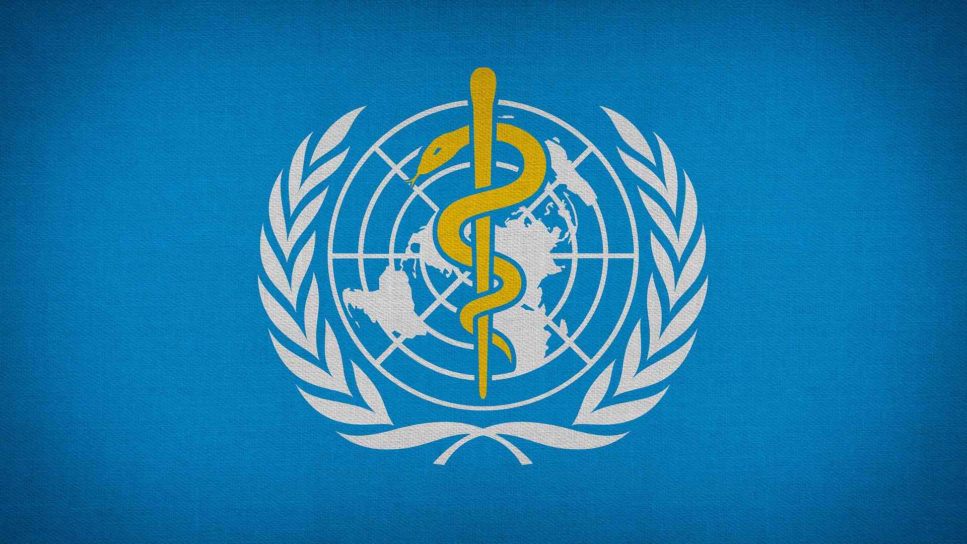 World Health Organization (WHO) flag. There is a blue background with the WHO logo featuring a globe overlaid with a staff and snake symbol, surrounded by olive branches.